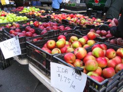 New York apples